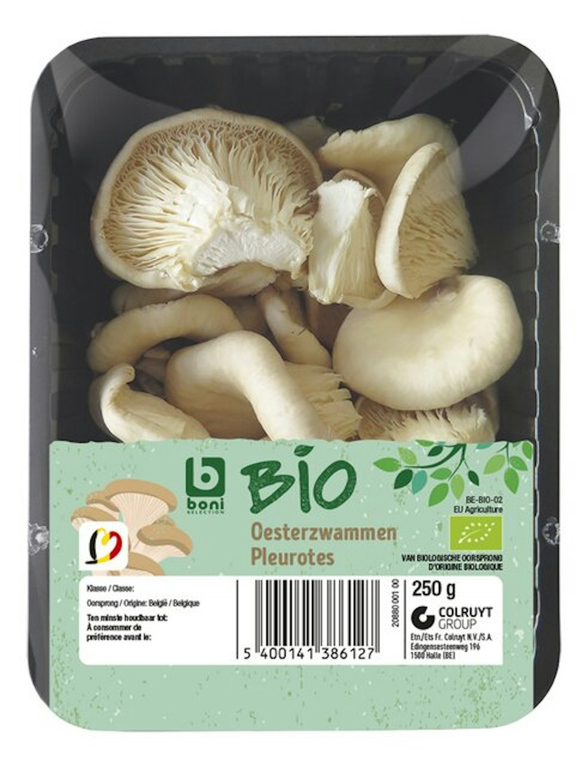 BONI BIO oesterzwammen 250g